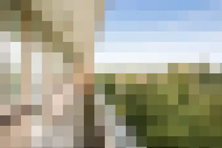 Goereesepad 97 Amstelveen thumbnail 17