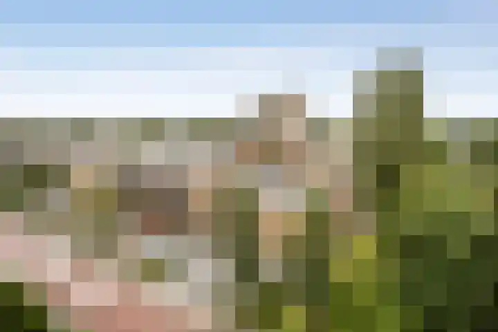 Goereesepad 97 Amstelveen thumbnail 18