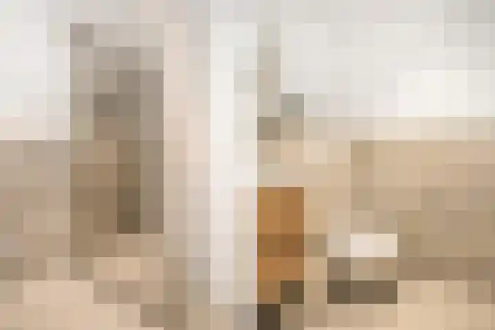 Goereesepad 97 Amstelveen thumbnail 8