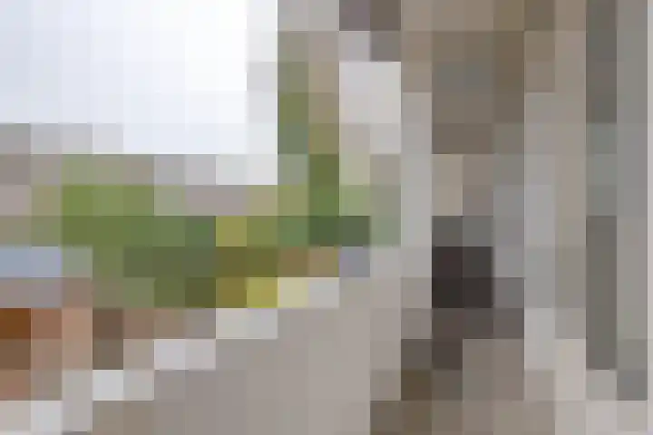 Goereesestraat 108 C Rotterdam thumbnail 16