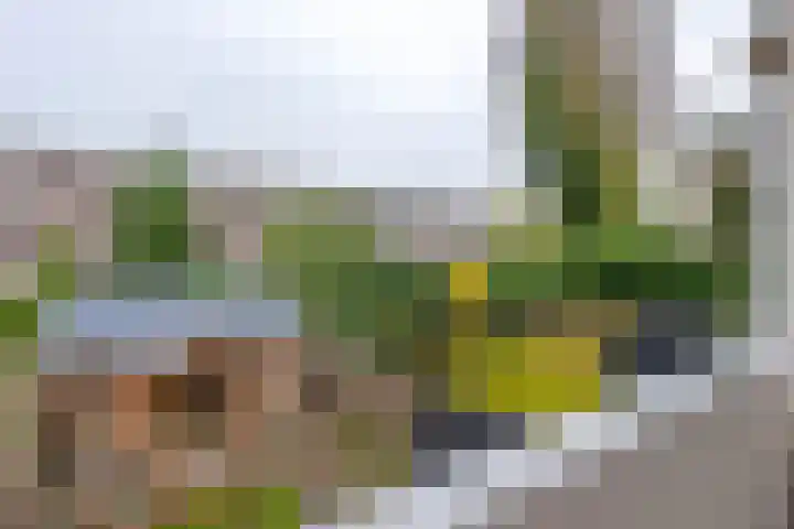 Goereesestraat 108 C Rotterdam thumbnail 17