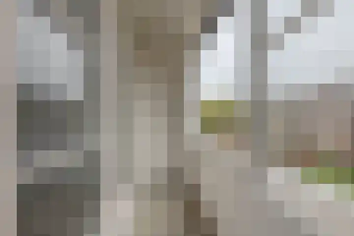 Goereesestraat 108 C Rotterdam thumbnail 5