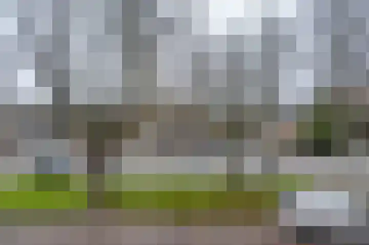 Goereesestraat 108 C Rotterdam thumbnail 8