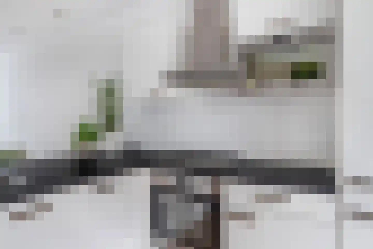 Goereesestraat 117 B Rotterdam thumbnail 10