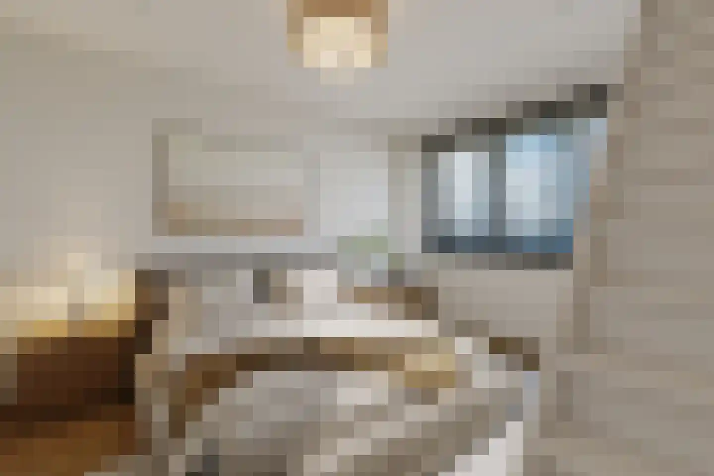 Goereesestraat 117 B Rotterdam thumbnail 20