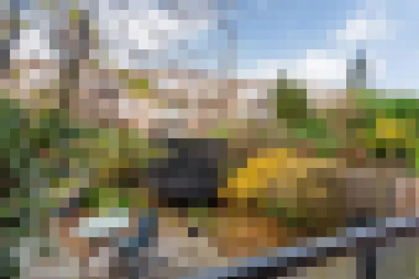 Goereesestraat 117 B Rotterdam thumbnail 33