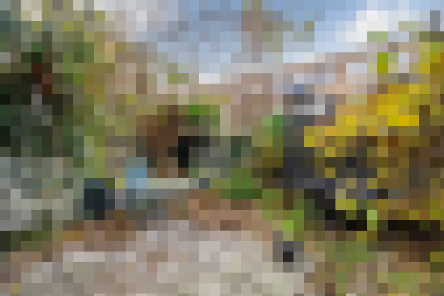 Goereesestraat 117 B Rotterdam thumbnail 35