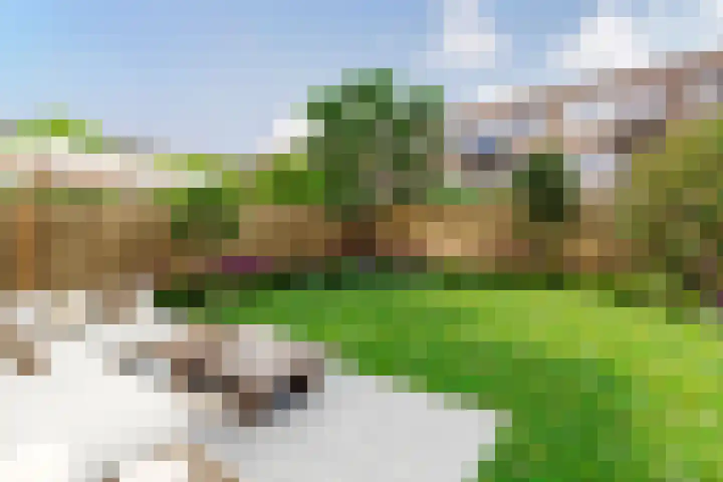 Goereesestraat 117 B Rotterdam thumbnail 36