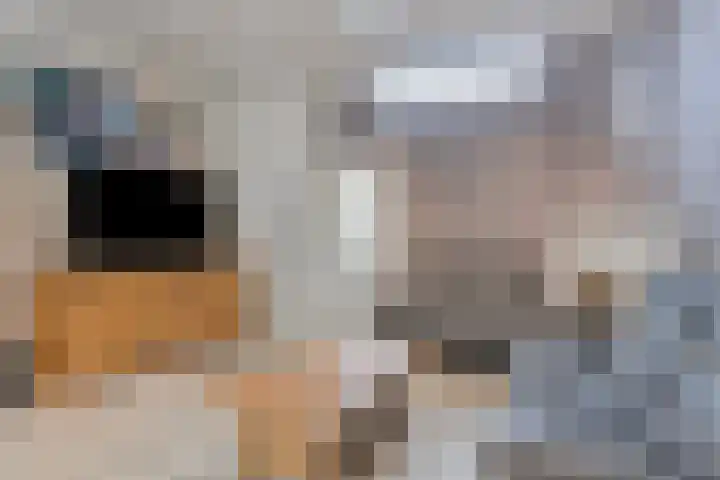 Goereesestraat 12 Schiedam thumbnail 5