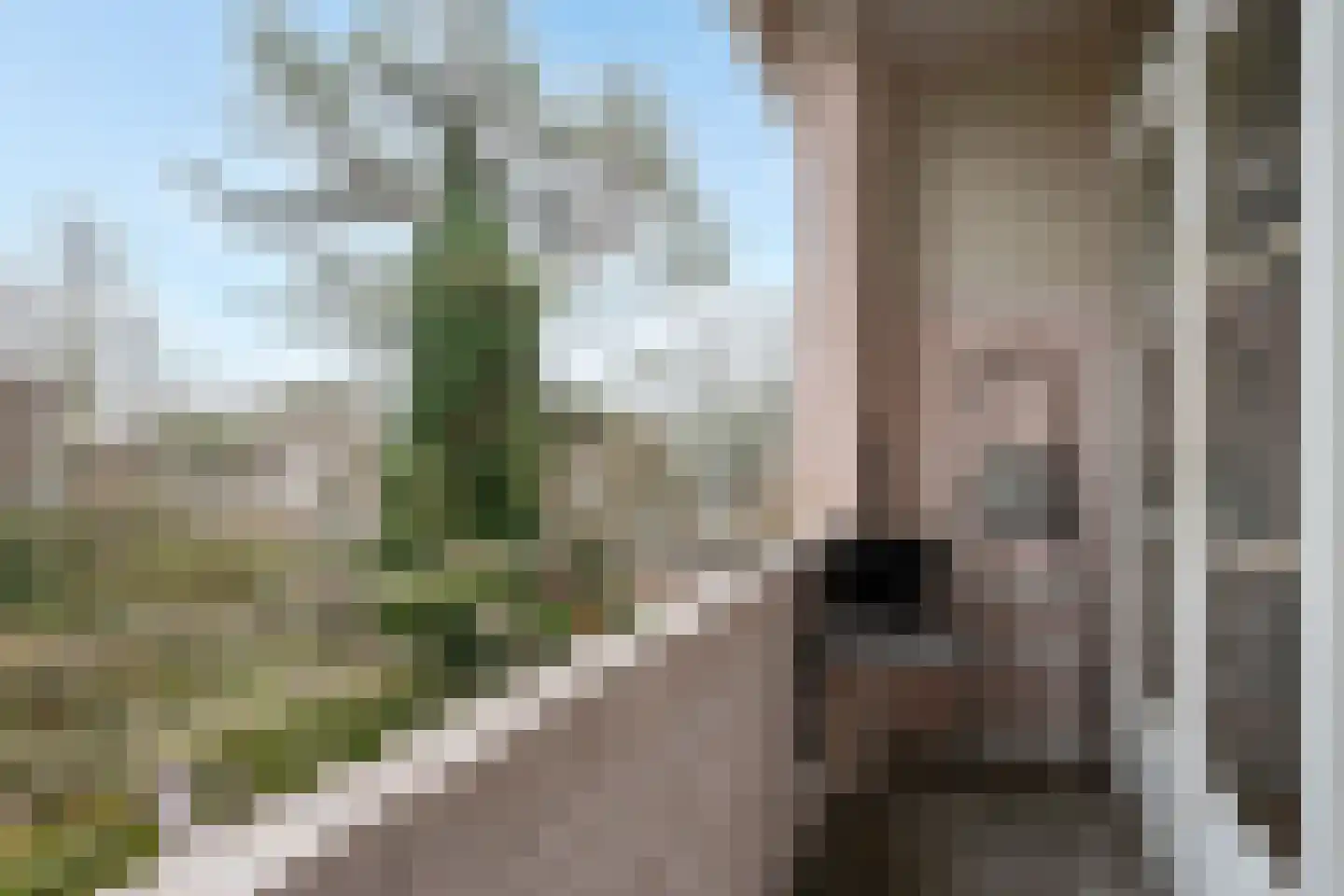 Goereesestraat 120 C Rotterdam thumbnail 18