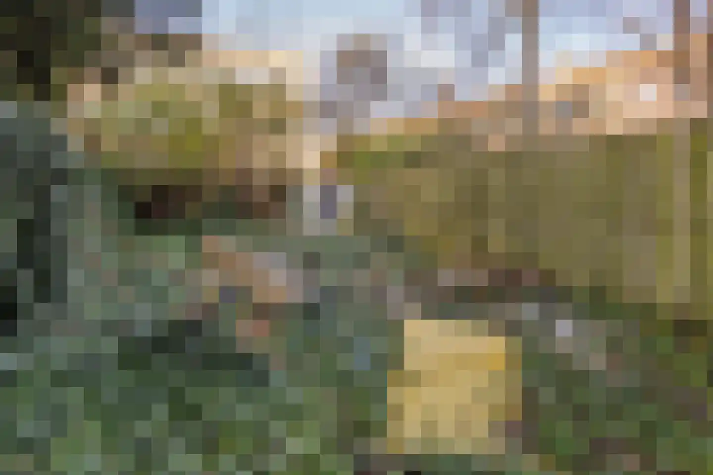 Goereesestraat 13 C Rotterdam thumbnail 5