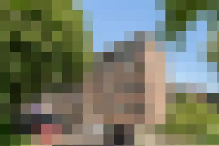 Goereesestraat 134 B Rotterdam thumbnail 23