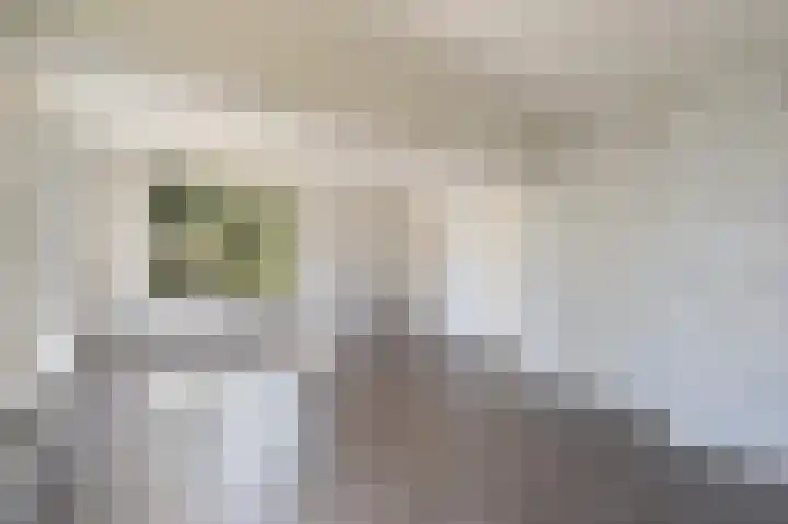 Goereesestraat 136 B Rotterdam thumbnail 8