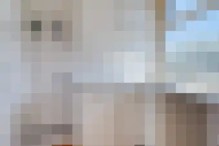 Goereesestraat 21 B Rotterdam thumbnail 21
