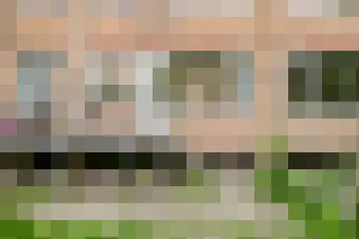 Goereesestraat 21 B Rotterdam thumbnail 29