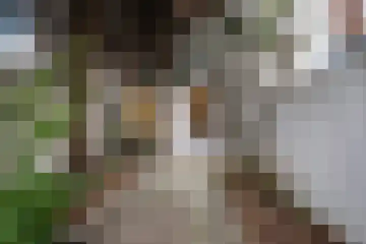 Goereesestraat 22 Schiedam thumbnail 22