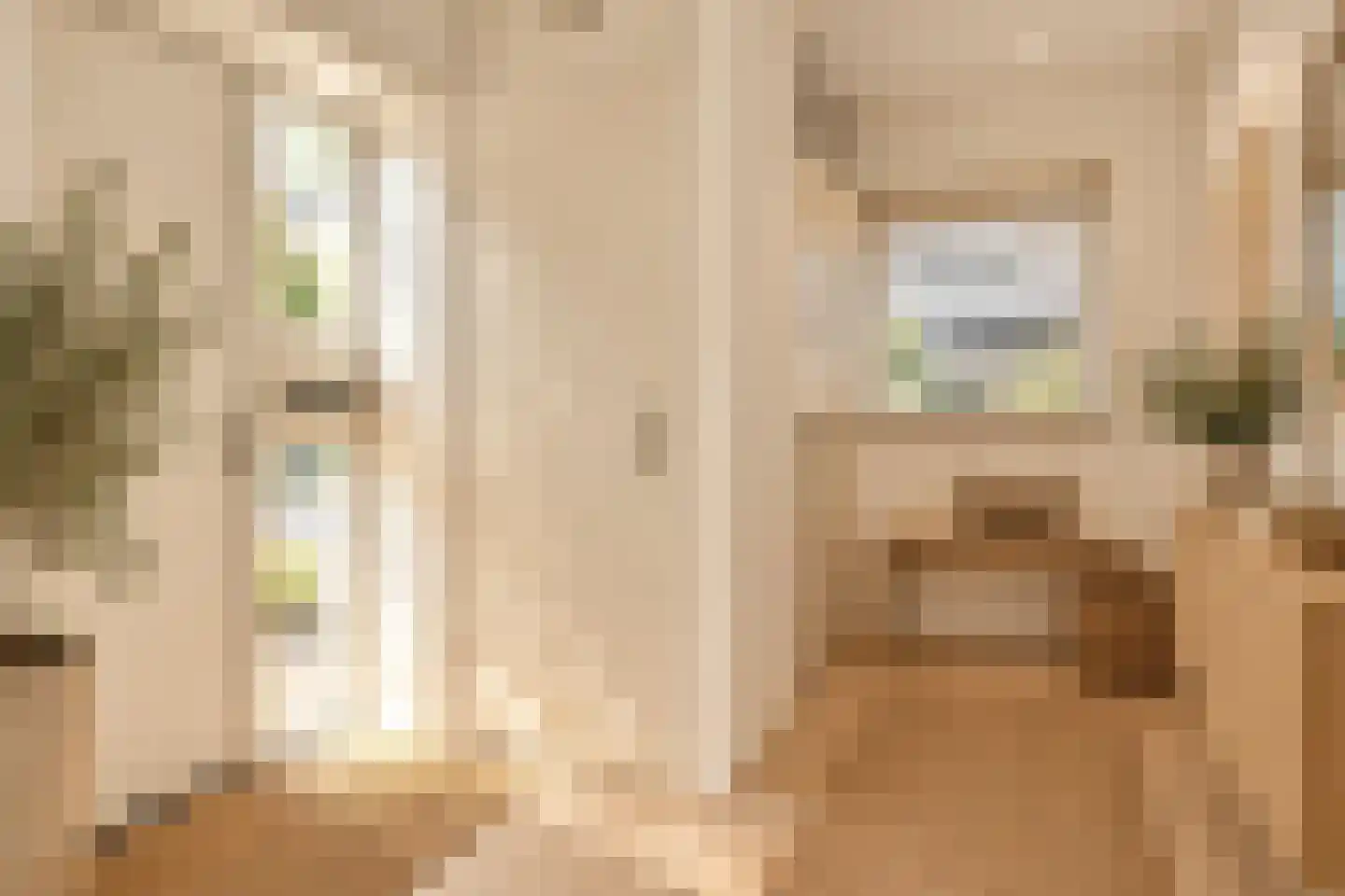 Goereesestraat 39 Den Haag thumbnail 5