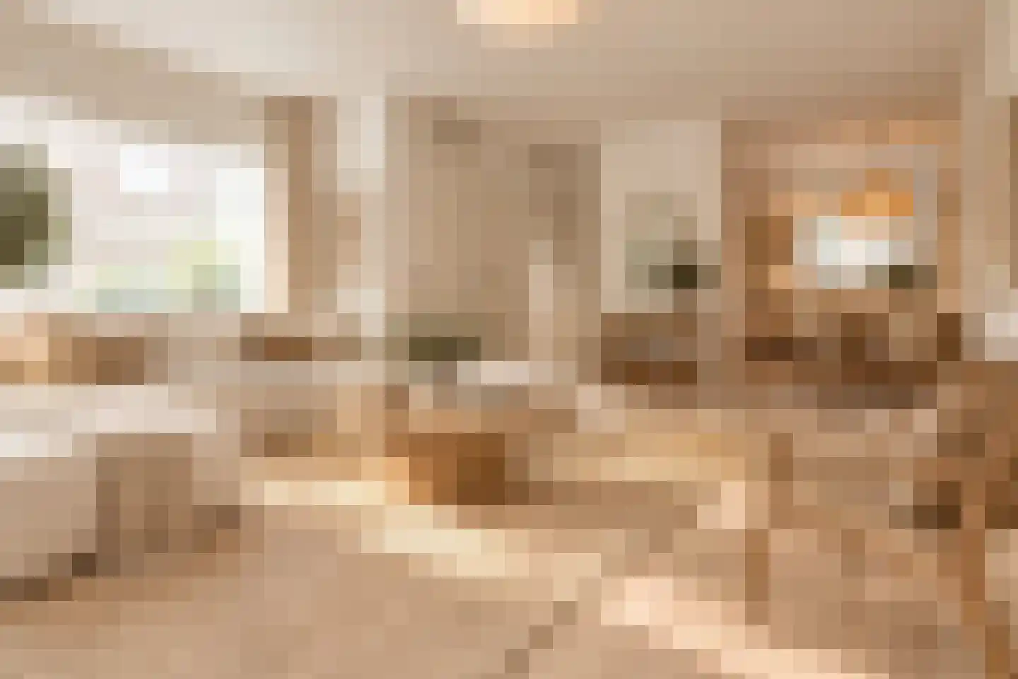 Goereesestraat 39 Den Haag thumbnail 8