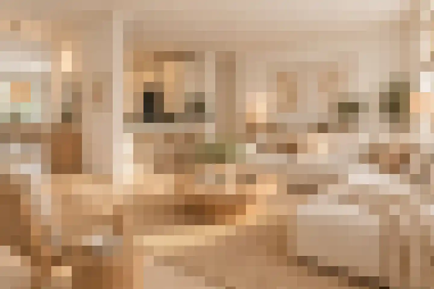 Goereesestraat 39 Den Haag thumbnail 9