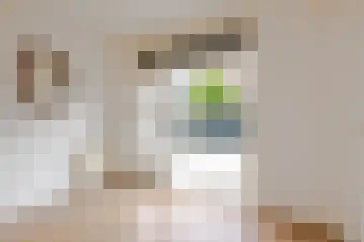 Goereesestraat 40 B Rotterdam thumbnail 10