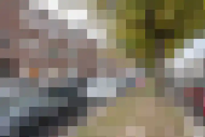 Goereesestraat 40 B Rotterdam thumbnail 18