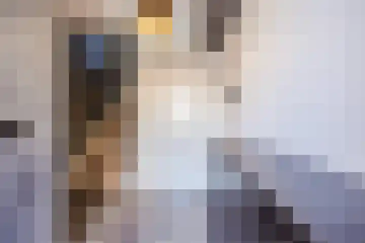 Goereesestraat 40 Schiedam thumbnail 7