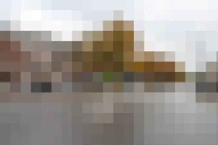 Goereesestraat 54 B Rotterdam thumbnail 20