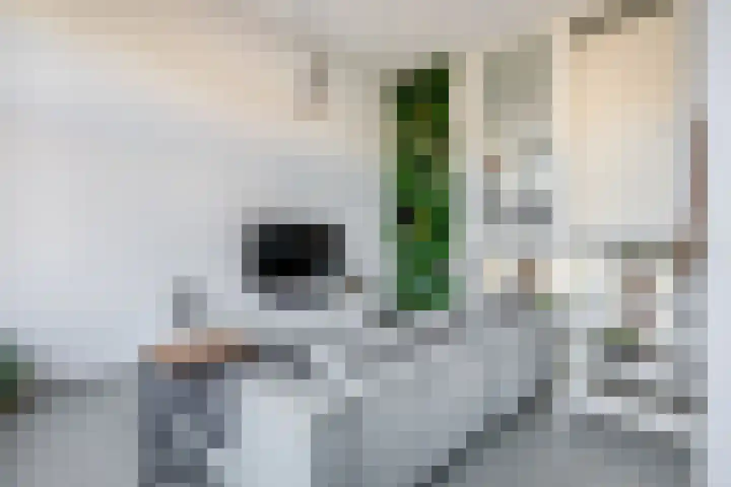 Goereesestraat 57 Schiedam thumbnail 19