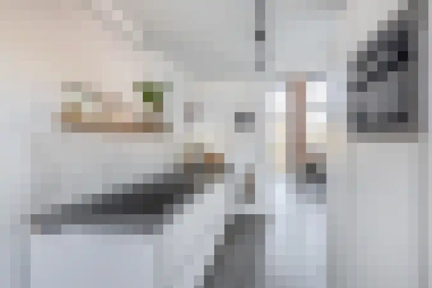 Goereesestraat 57 Schiedam thumbnail 24