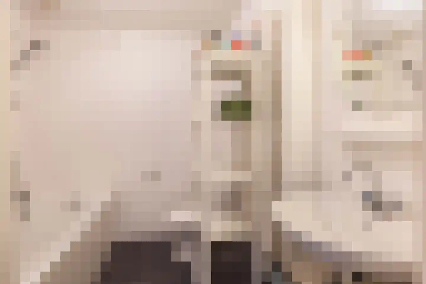 Goereesestraat 57 Schiedam thumbnail 34