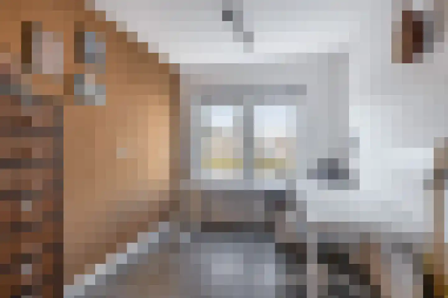 Goereesestraat 57 Schiedam thumbnail 35
