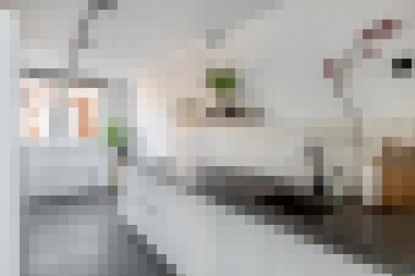 Goereesestraat 57 Schiedam thumbnail 4