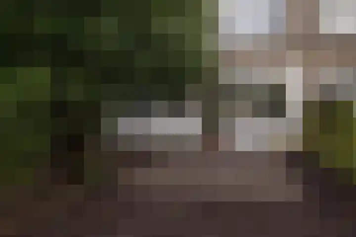 Goereesestraat 71 C Rotterdam thumbnail 24