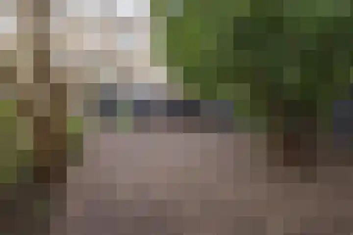 Goereesestraat 71 C Rotterdam thumbnail 5