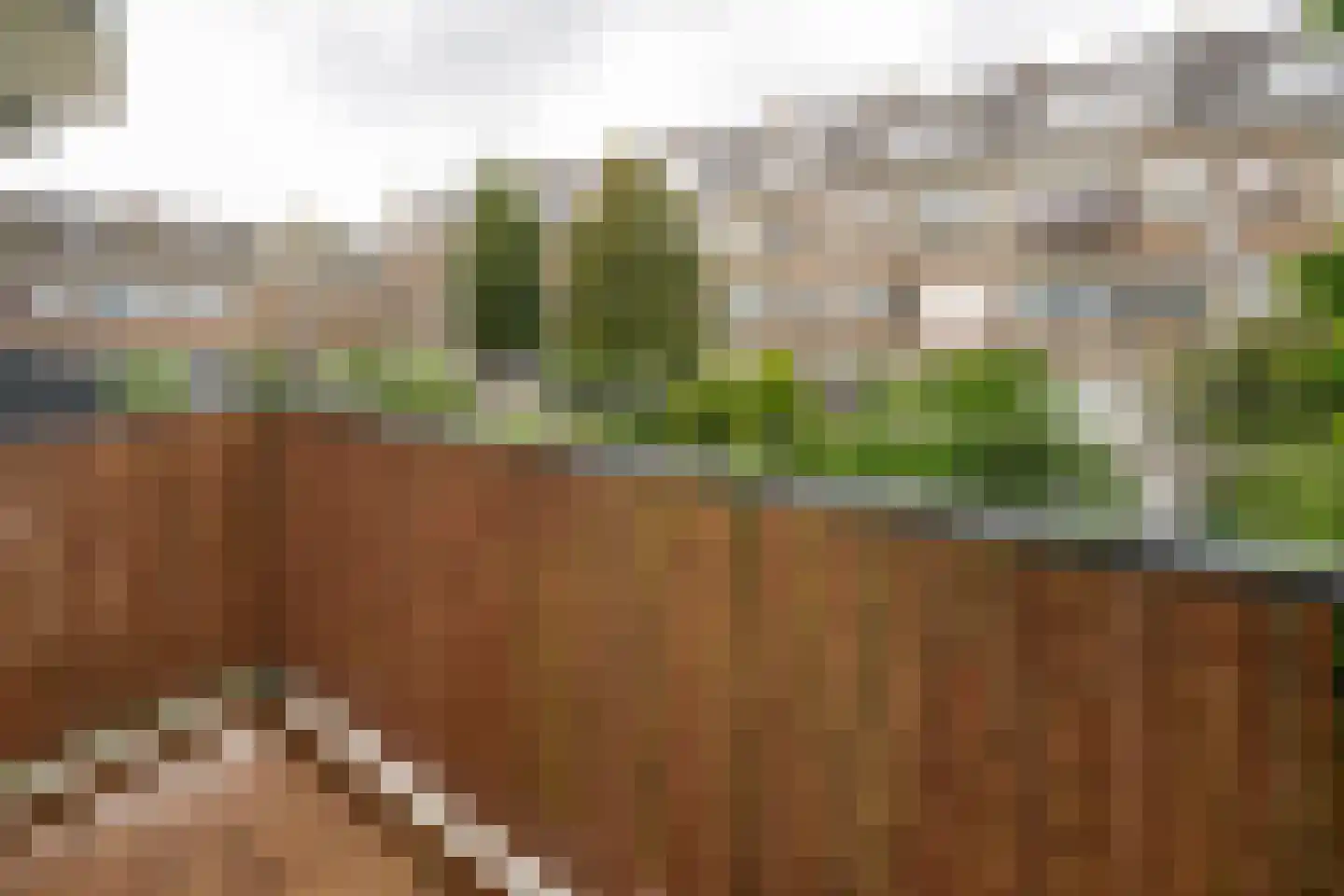 Goereesestraat 73 C Rotterdam thumbnail 18
