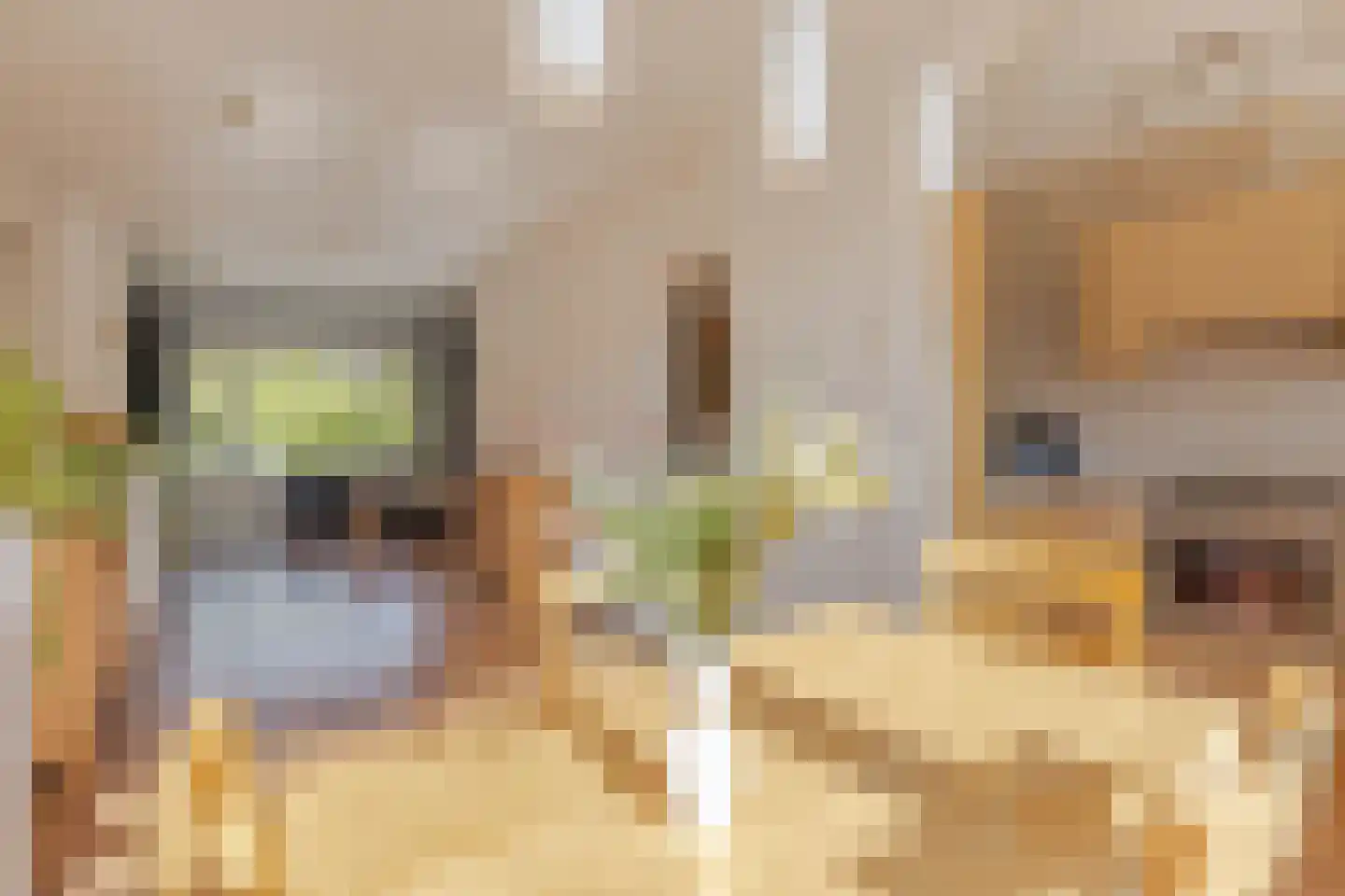 Goereesestraat 78 B Rotterdam thumbnail 11