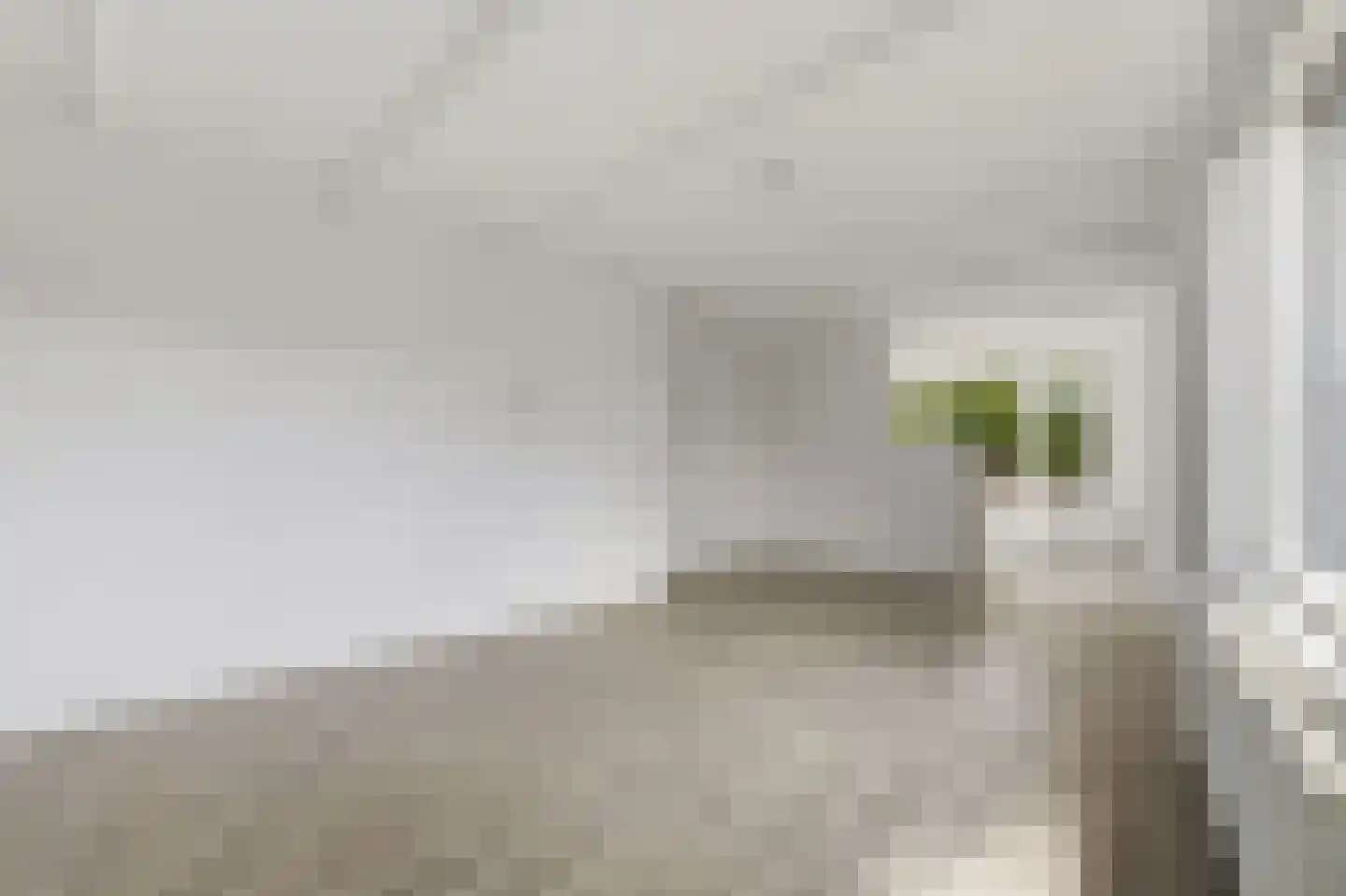 Goereesestraat 83 B Rotterdam thumbnail 10