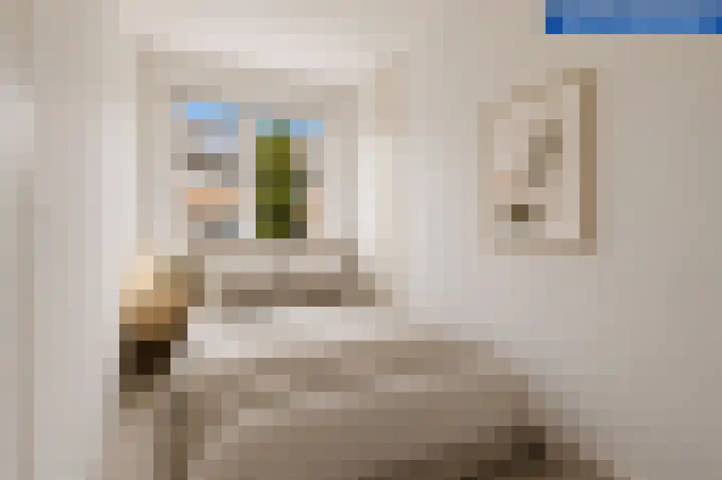 Goereesestraat 83 B Rotterdam thumbnail 34