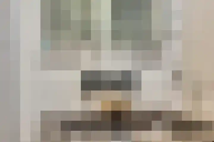 Goereesestraat 88 C Rotterdam thumbnail 13