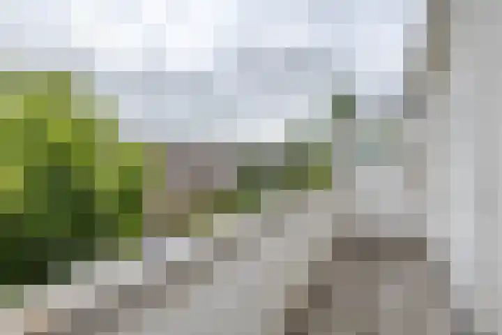 Goereesestraat 88 C Rotterdam thumbnail 17