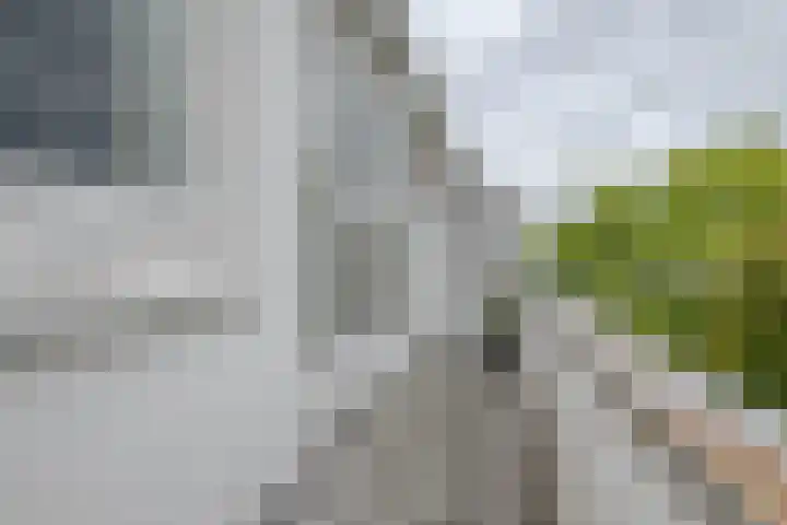 Goereesestraat 88 C Rotterdam thumbnail 18