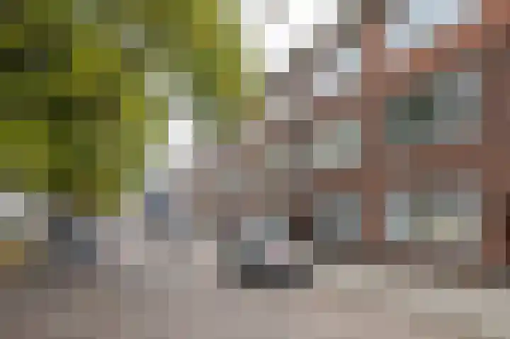Goereesestraat 88 C Rotterdam thumbnail 19