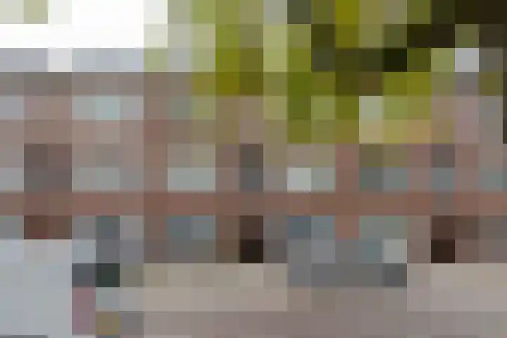 Goereesestraat 88 C Rotterdam thumbnail 26