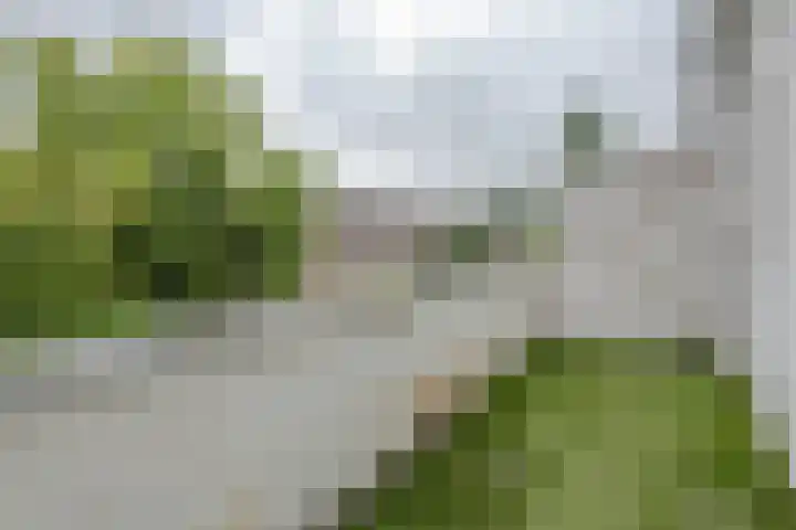 Goereesestraat 88 C Rotterdam thumbnail 5