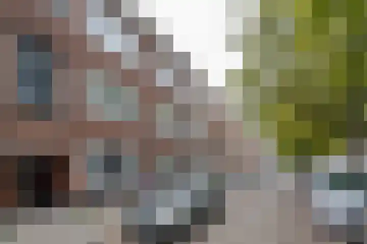 Goereesestraat 88 C Rotterdam thumbnail 6