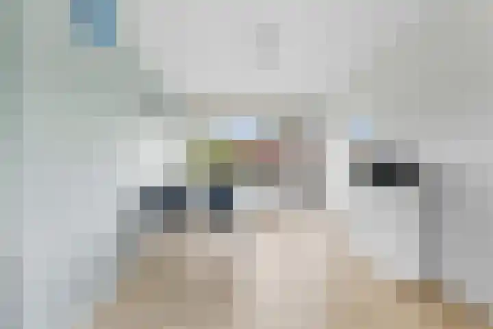 Goereesestraat 97 A Rotterdam thumbnail 8
