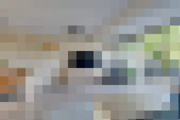 Goereestraat 10 Alkmaar thumbnail 14