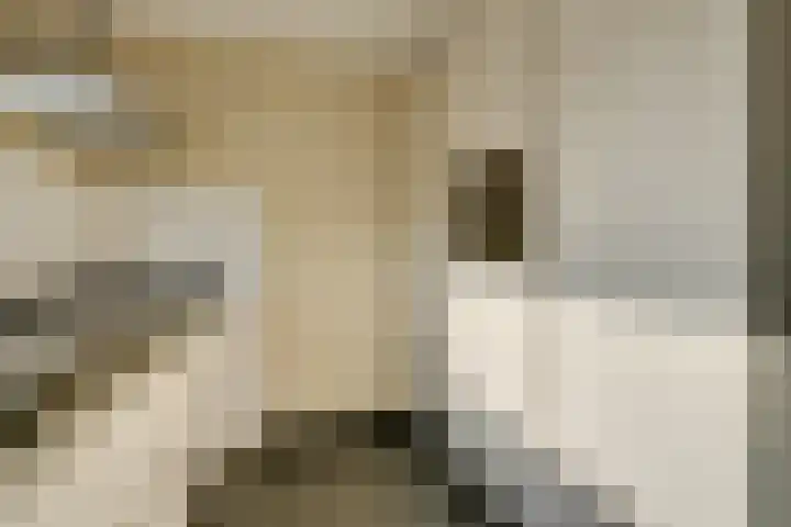 Goereestraat 10 Alkmaar thumbnail 24