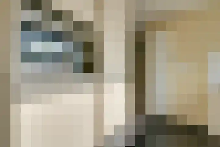 Goereestraat 10 Alkmaar thumbnail 26