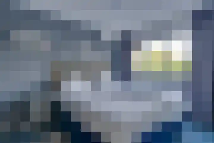 Goereestraat 10 Alkmaar thumbnail 33
